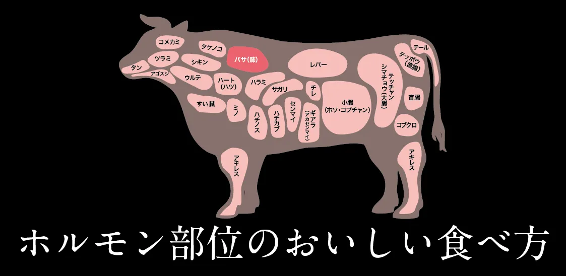 ホルモンの部位紹介と美味しい食べ方
